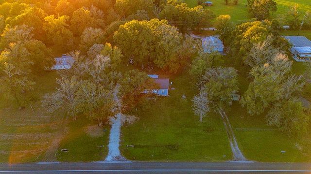 17325 US Highway 59 N, Moscow, TX 75960