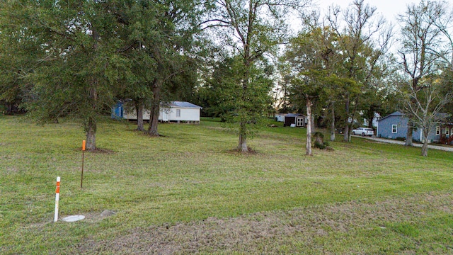 17325 US Highway 59 N, Moscow, TX 75960