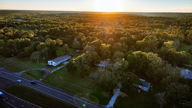 17325 US Highway 59 N, Moscow, TX 75960