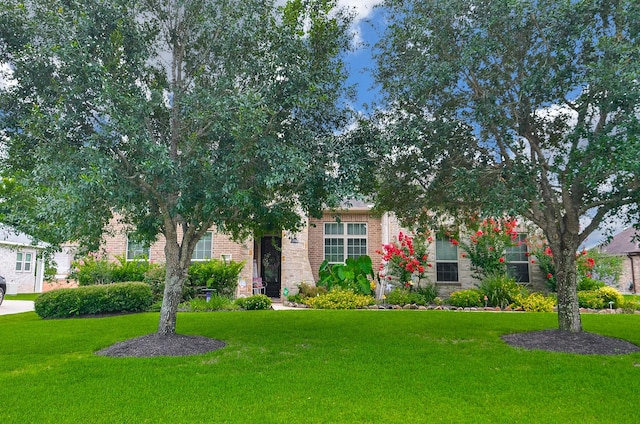 33215 Worthing Ln, Fulshear, TX 77441 - view of property hidden behind natural elements with a front lawn