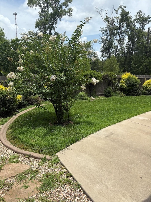 23613 Alder Branch Ln, New Caney, TX 77357 - view of yard