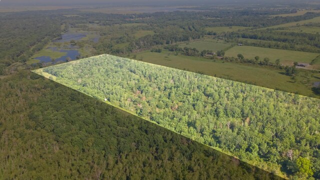 0 County Road 6042, Dayton, TX 77535 - photo 9