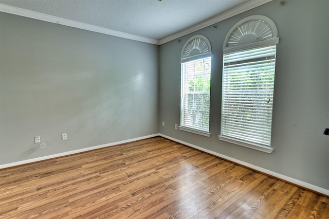 4107 N Nolan Pl, Pearland, TX 77584 - photo 9