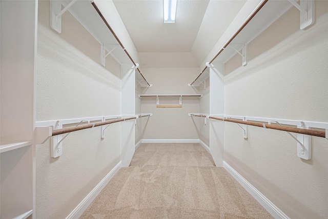 310 Blossom Terrace Ln, Rosenberg, TX 77469 - walk in closet featuring light carpet