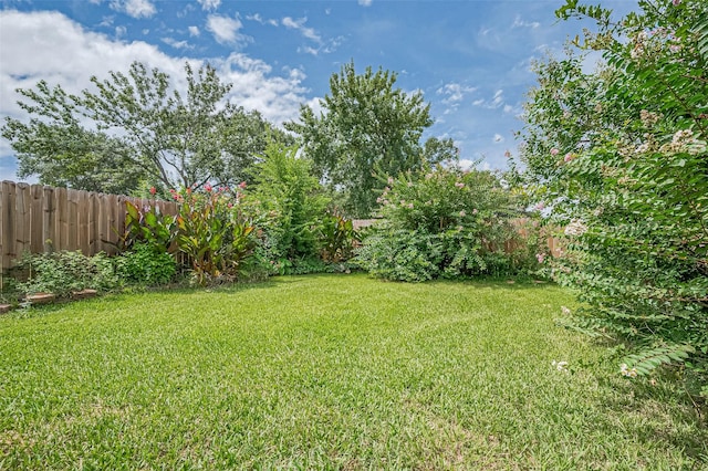 15715 Rolling Timbers Dr, Houston, TX 77084 - photo 48