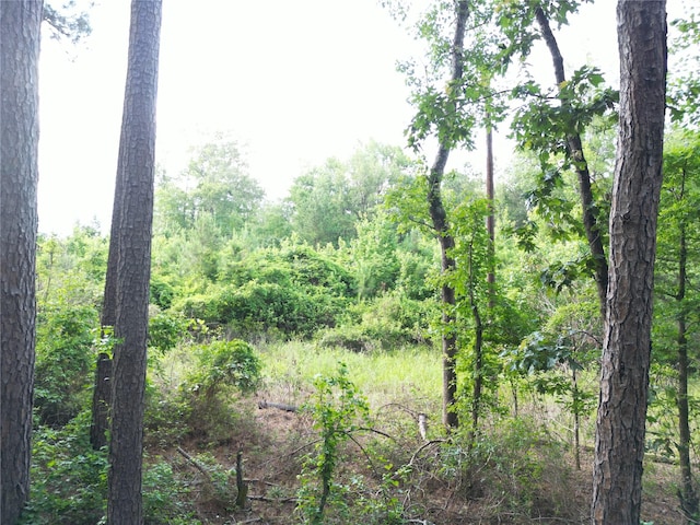 000 County Road 4813, Bloomburg, TX 75556 - photo 3