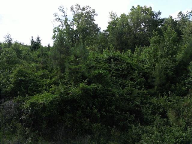 000 County Road 4813, Bloomburg, TX 75556 - photo 4