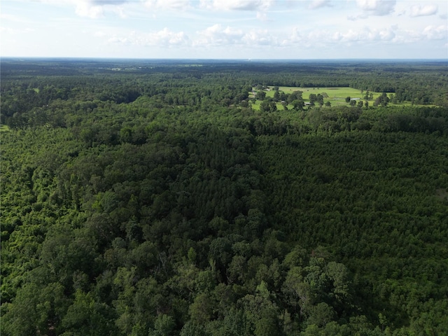 000 County Road 4813, Bloomburg, TX 75556 - photo 1