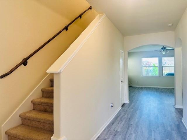 2718 Meandering Elm Trl, Houston, TX 77045