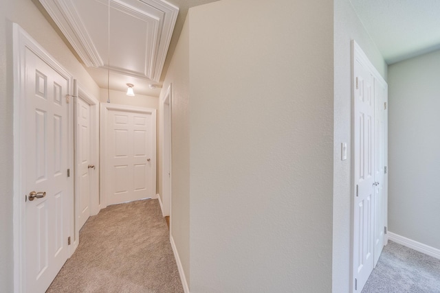 2142 De Soto St, Houston, TX 77091 - hallway with attic access and light carpet