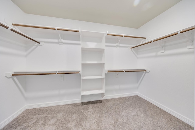 2142 De Soto St, Houston, TX 77091 - walk in closet featuring carpet