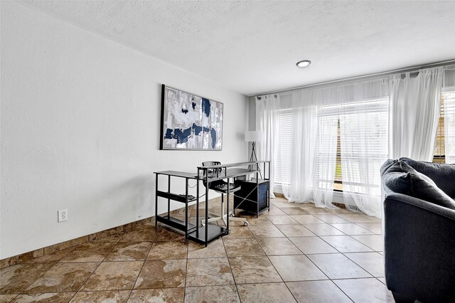 503 Ellingham Dr, Katy, TX 77450 - view of home office