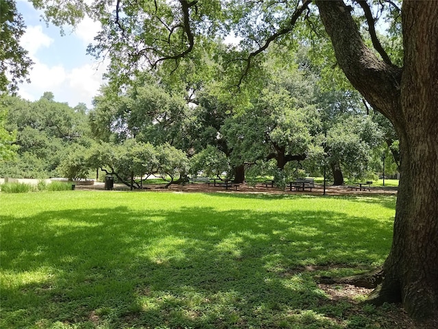 2401 Crawford St Unit A109, Houston, TX 77004 - view of grassy yard
