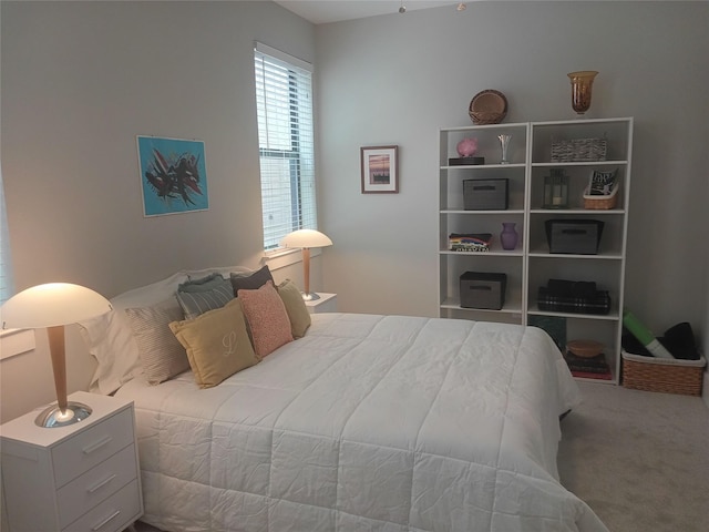 2401 Crawford St Unit A109, Houston, TX 77004 - view of carpeted bedroom