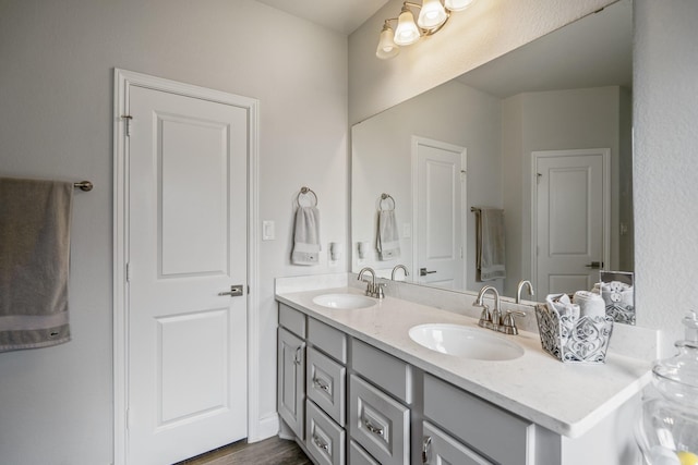 23007 Birchwood Valley Ln, Katy, TX 77493 - bathroom featuring double vanity