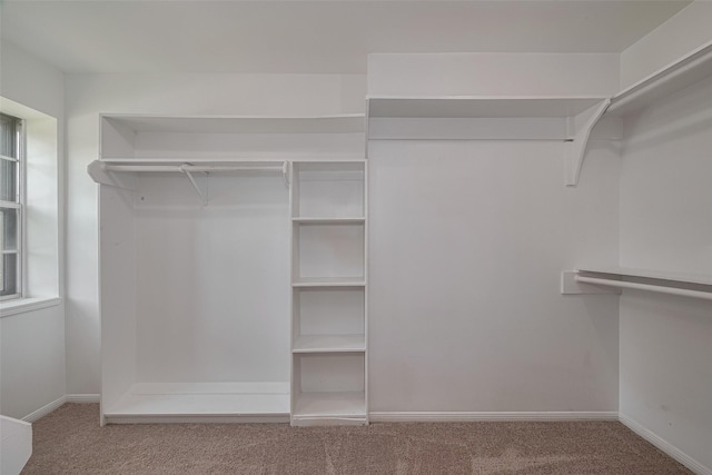 5711 Arenas Timbers Dr, Humble, TX 77346 - walk in closet featuring carpet