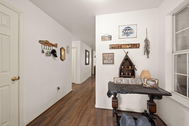 164 Sea Gull Dr, Livingston, TX 77351 - corridor featuring dark wood-style floors and baseboards