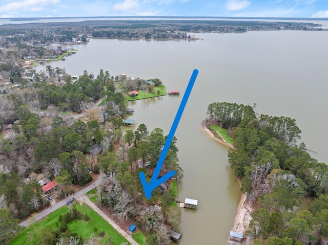 164 Sea Gull Dr, Livingston, TX 77351 - view of property location featuring a large body of water