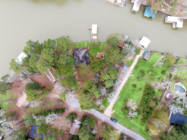 164 Sea Gull Dr, Livingston, TX 77351 - aerial view of property and surrounding area