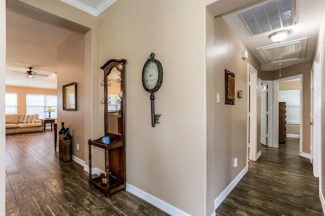 6111 Weisinger Dr, Magnolia, TX 77354 - photo 9