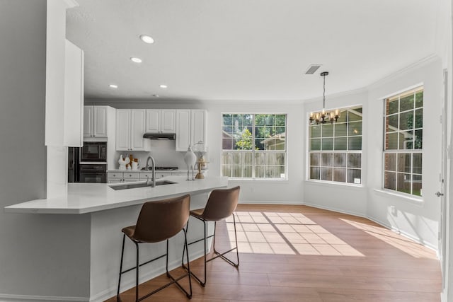 223 E Golden Arrow Cir, The Woodlands, TX 77381 - photo 9