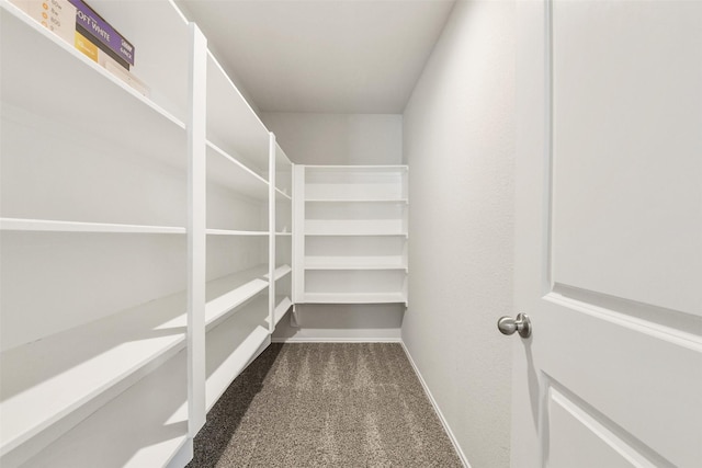 16833 Pink Wintergreen Dr, Conroe, TX 77385 - view of pantry