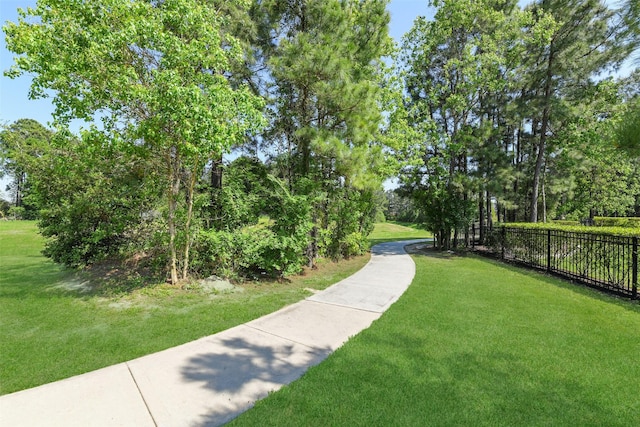 16833 Pink Wintergreen Dr, Conroe, TX 77385 - view of property's community