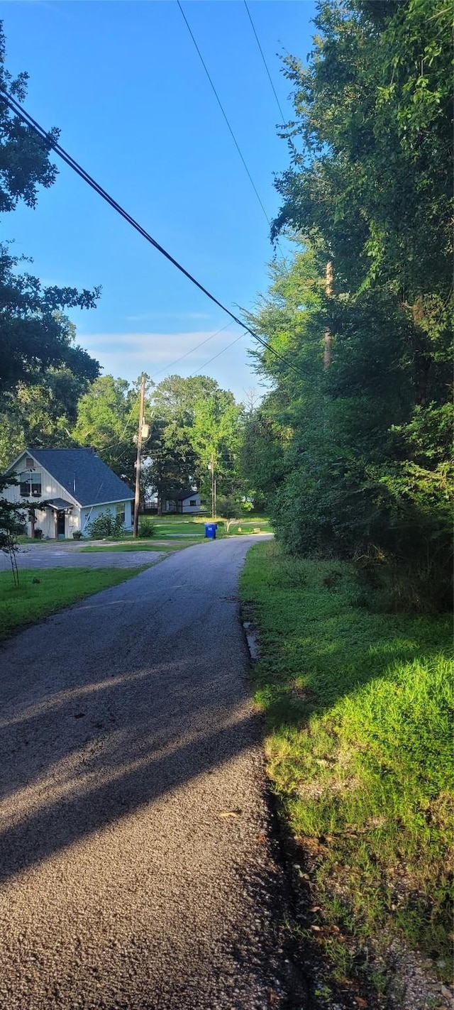20 Connor Ln, Huntsville, TX 77320 - view of asphalt street