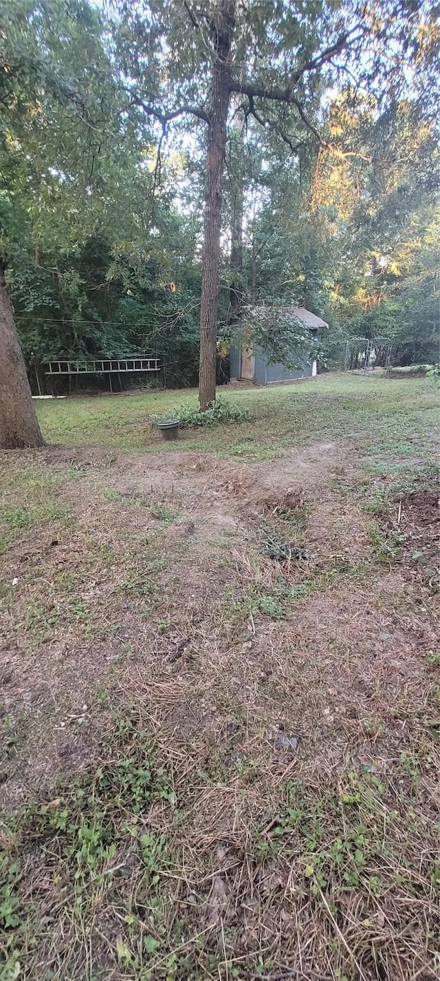20 Connor Ln, Huntsville, TX 77320 - view of yard