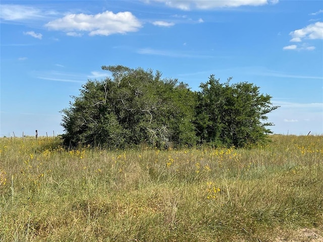 000 Crooked Rd, Cat Spring, TX 78933 - photo 1