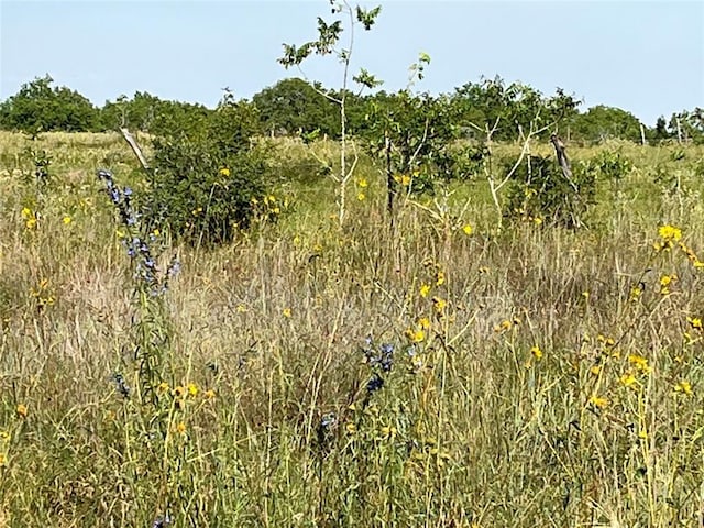 000 Crooked Rd, Cat Spring, TX 78933 - photo 4