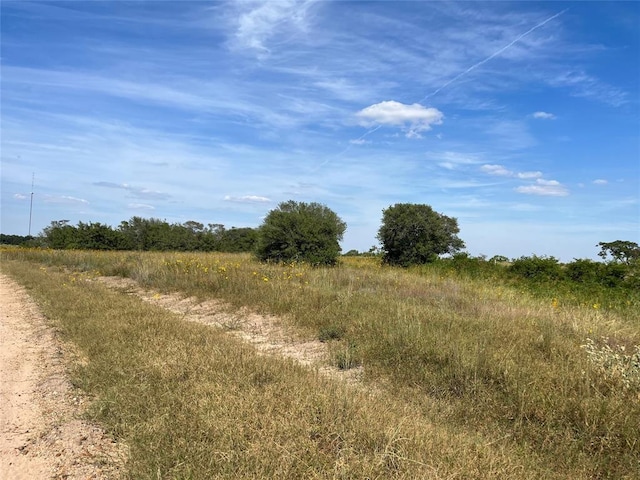 000 Crooked Rd, Cat Spring, TX 78933 - photo 5