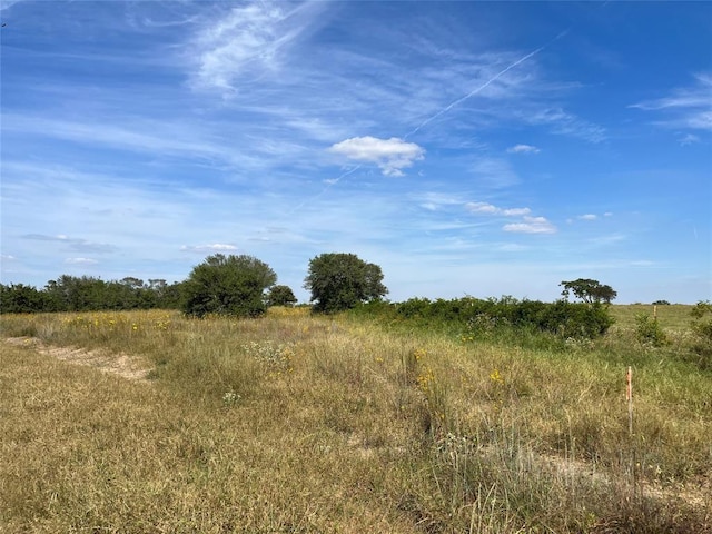 000 Crooked Rd, Cat Spring, TX 78933 - photo 6