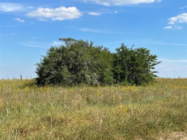 000 Crooked Rd, Cat Spring, TX 78933 - photo 7
