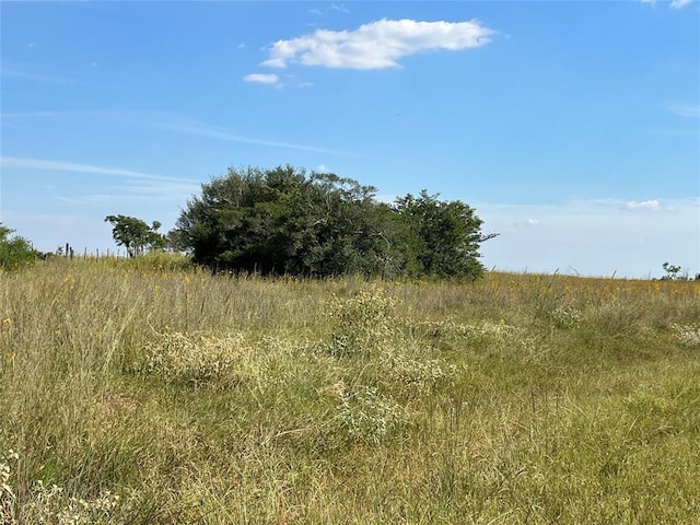 000 Crooked Rd, Cat Spring, TX 78933 - photo 8