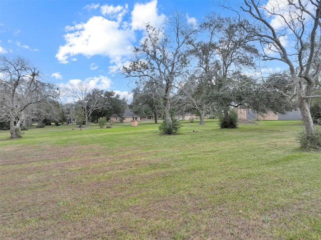 1628 Vauthier St, La Marque, TX 77568 - view of green lawn