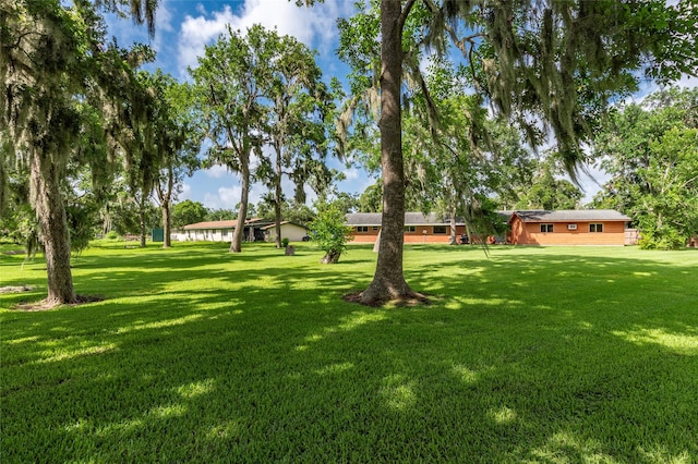 122 Blossom St, Lake Jackson, TX 77566 - view of grassy yard