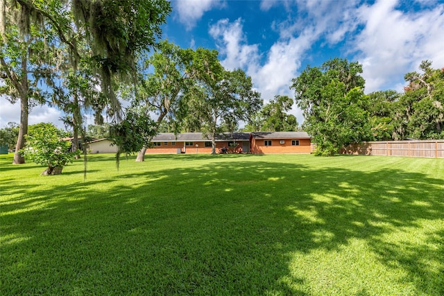 122 Blossom St, Lake Jackson, TX 77566 - view of yard