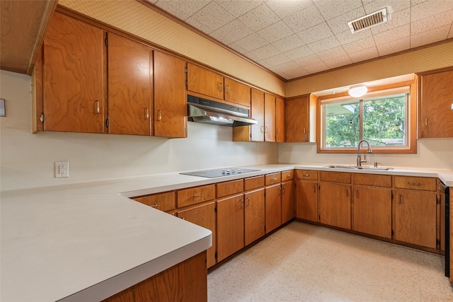 122 Blossom St, Lake Jackson, TX 77566 - kitchen featuring under cabinet range hood, black electric cooktop, brown cabinets, and light countertops