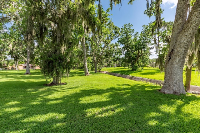 122 Blossom St, Lake Jackson, TX 77566 - surrounding community featuring a lawn