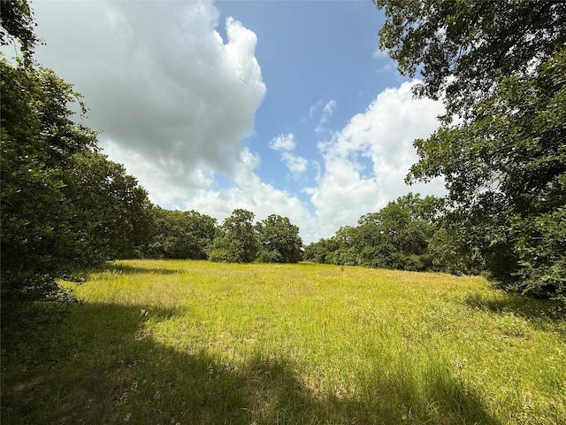 TBDTRACT9 County Road 261, Oakwood, TX 75855 - photo 1