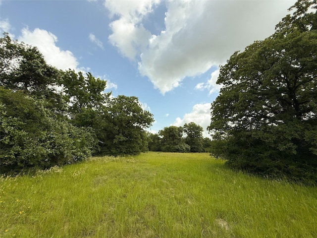 TBDTRACT9 County Road 261, Oakwood, TX 75855 - photo 3