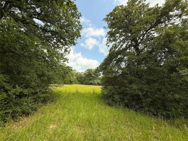 TBDTRACT9 County Road 261, Oakwood, TX 75855 - photo 5