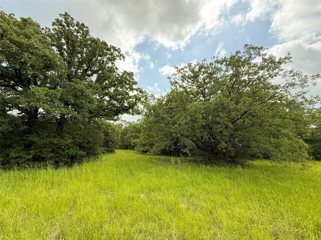 TBDTRACT9 County Road 261, Oakwood, TX 75855 - photo 6