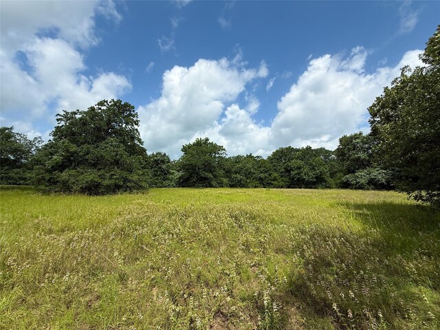 TBDTRACT9 County Road 261, Oakwood, TX 75855 - photo 7