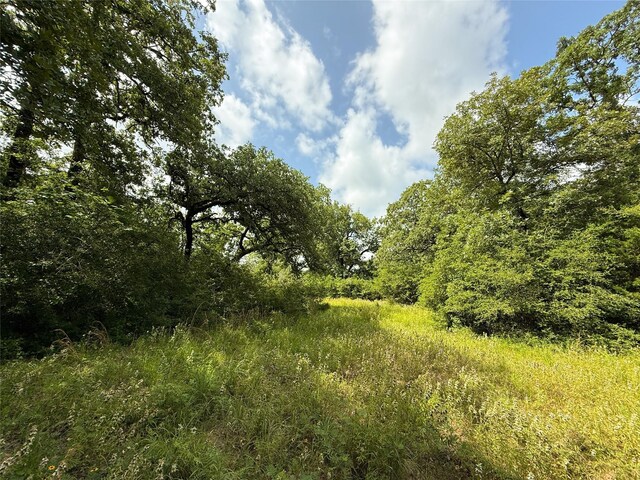 TBDTRACT9 County Road 261, Oakwood, TX 75855 - photo 8