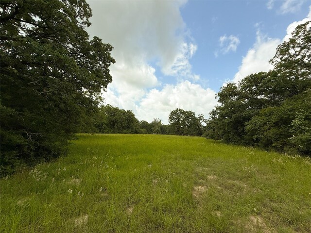 TBDTRACT9 County Road 261, Oakwood, TX 75855 - photo 9