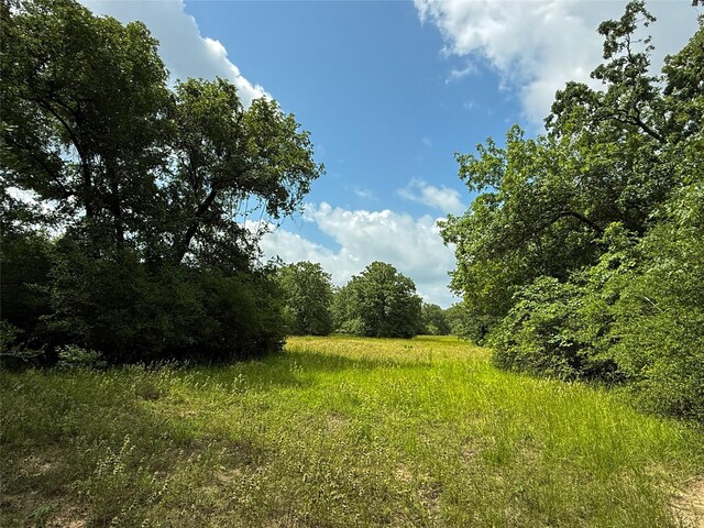 TBDTRACT9 County Road 261, Oakwood, TX 75855 - photo 10