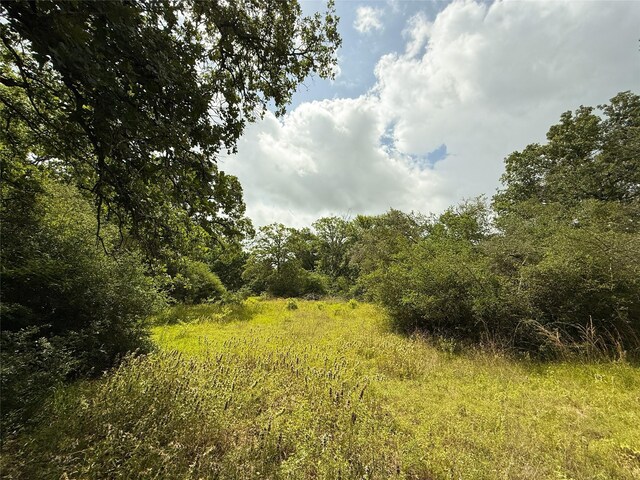 TBDTRACT9 County Road 261, Oakwood, TX 75855 - photo 11