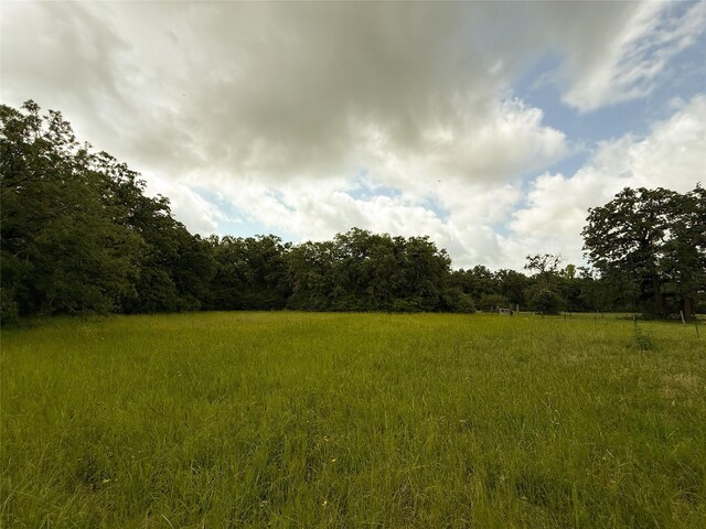 TBDTRACT9 County Road 261, Oakwood, TX 75855 - photo 12